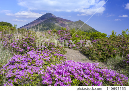 霧島山脈的宮山霧島杜鵑花盛開 140695363