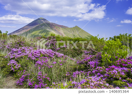 霧島山脈的宮山霧島杜鵑花盛開 140695364
