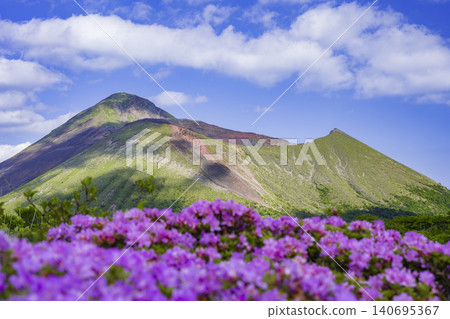 霧島山脈的宮山霧島杜鵑花盛開 140695367
