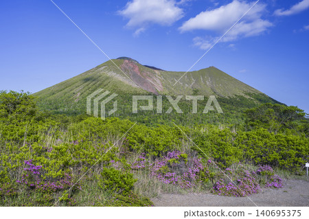 霧島山脈的宮山霧島杜鵑花盛開 霧島山脈的宮山霧島杜鵑花盛開 140695375
