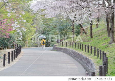 Enjoying spring under the cherry blossom trees (Higashiyama Zoo and Botanical Gardens, Nagoya City, Aichi Prefecture) Enjoying spring under the cherry blossom trees (Higashiyama Zoo and Botanical Gardens, Nagoya City, Aichi Prefecture) 140695454