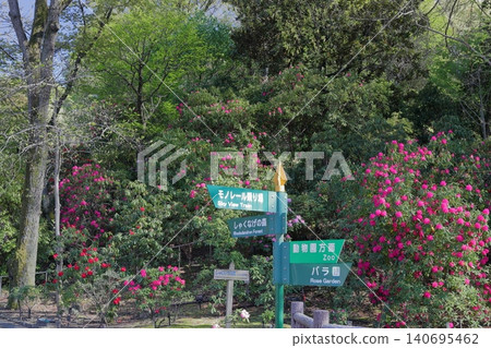 Guide signs within the park surrounded by greenery (Higashiyama Zoo and Botanical Gardens, Nagoya City, Aichi Prefecture) Guide signs within the park surrounded by greenery (Higashiyama Zoo and Botanical Gardens, Nagoya City, Aichi Prefecture) 140695462