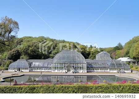 A greenhouse harmonizing with the forest behind it (Higashiyama Zoo and Botanical Gardens, Nagoya City, Aichi Prefecture) A greenhouse harmonizing with the forest behind it (Higashiyama Zoo and Botanical Gardens, Nagoya City, Aichi Prefecture) 140695932
