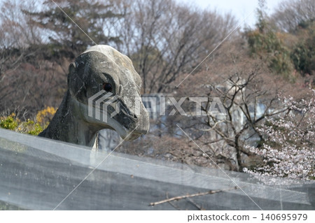 Dinosaurs peeking out (Higashiyama Zoo and Botanical Gardens, Nagoya City, Aichi Prefecture) 140695979