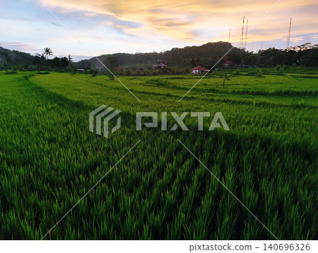 the beauty of the sunset in the rice fields in a village with a colorful sky 140696326