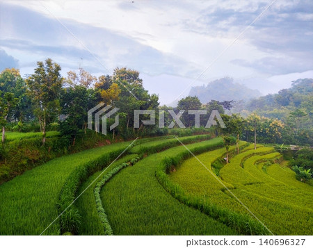 view of terraced rice fields in the countryside 140696327