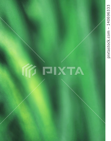 blur background of rice plants in the rice field blur background of rice plants in the rice field 140696333