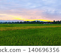 the beauty of the sunset in the rice fields in a village with a colorful sky 140696356