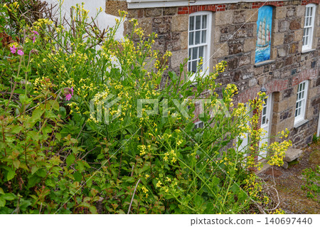 The bedruthan steps in Cornwall, england The bedruthan steps in Cornwall, england 140697440