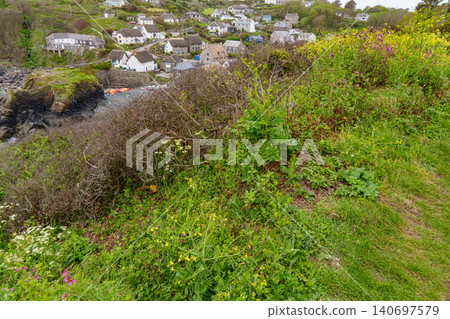the small village of cadgwith at the coast of cornwall the small village of cadgwith at the coast of cornwall 140697579