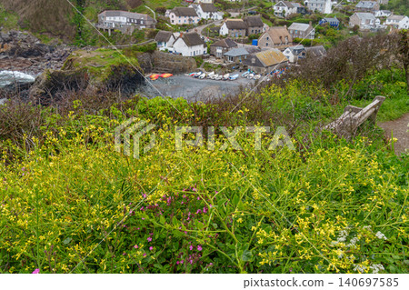 the small village of cadgwith at the coast of cornwall the small village of cadgwith at the coast of cornwall 140697585
