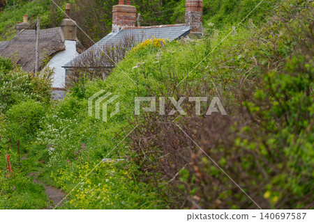 the small village of cadgwith at the coast of cornwall the small village of cadgwith at the coast of cornwall 140697587