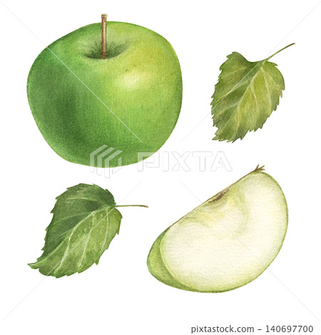 Green apple set with whole fruit leaves and fresh slice on a white background. Watercolor illustration of ripe apple harvest. Suitable for packaging posters books products labels and kitchen decor. Green apple set with whole fruit leaves and fresh slice on a white background. Watercolor illustration of ripe apple harvest. Suitable for packaging posters books products labels and kitchen decor. 140697700