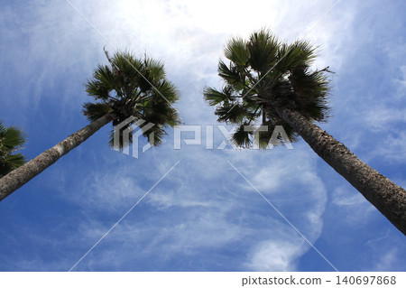 Karatsu City, Saga Prefecture: "Yobuko Elementary School Yujinkou Seaside Park" - A landscape with a tropical feel. Karatsu City, Saga Prefecture: "Yobuko Elementary School Yujinkou Seaside Park" - A landscape with a tropical feel. 140697868