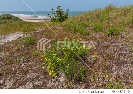 Domburg at the dutch north sea coast Domburg at the dutch north sea coast 140697900