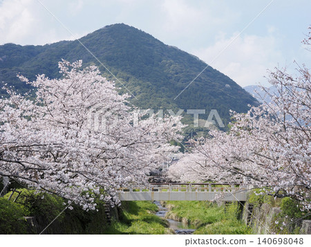 山口市/一坂川櫻花林 山口市/一坂川櫻花林 140698048