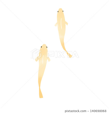 水彩風格的青鱂魚插圖 - 可愛的日式手繪風格,描繪了兩條遊動的青鱂魚。 水彩風格的青鱂魚插圖 - 可愛的日式手繪風格,描繪了兩條遊動的青鱂魚。 140698068