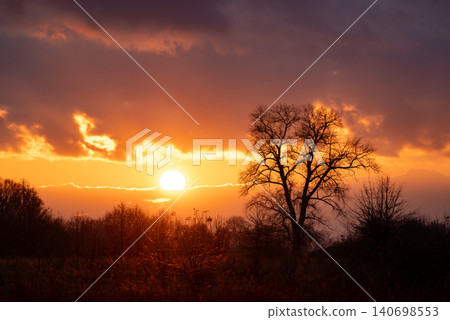 Landscape of setting sun above the horizon in countryside. Sun goes down, vibrant colours in clouds, silhouette of a big tree Landscape of setting sun above the horizon in countryside. Sun goes down, vibrant colours in clouds, silhouette of a big tree 140698553