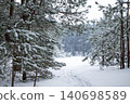 Pine forest covered in snow, path through trees. Winter snowy landscape of pine forest, beautiful winter nature in countryside 140698589