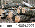 Big pile of cut logs stacked in the forest on the ground. Timber in the woods, concept of forestry, renewable energy resources 140698595