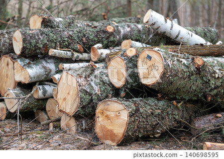 Big pile of cut logs stacked in the forest on the ground. Timber in the woods, concept of forestry, renewable energy resources Big pile of cut logs stacked in the forest on the ground. Timber in the woods, concept of forestry, renewable energy resources 140698595