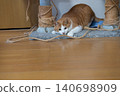 A cat, a tabby and white, stalks its prey in a low stance. 140698909