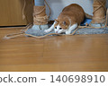 A cat, a tabby and white, stalks its prey in a low stance. 140698910