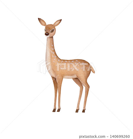 Watercolor deer without antlers isolated on white background Watercolor deer without antlers isolated on white background 140699260
