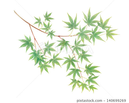Hand-drawn blue maple leaf background material 140699269