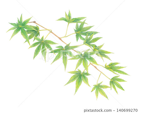 Hand-drawn blue maple leaf background material Hand-drawn blue maple leaf background material 140699270