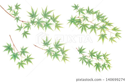 手繪藍色楓葉背景素材 140699274