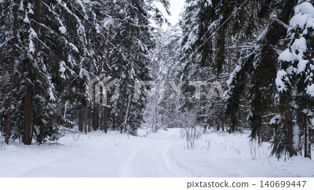 Winding snow-covered path leading through dense evergreen forest with heavy snow on branches, soft diffuse light from overcast sky, footprints and narrow Winding snow-covered path leading through dense evergreen forest with heavy snow on branches, soft diffuse light from overcast sky, footprints and narrow 140699447