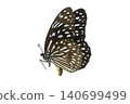 Beautiful closeup (Dark Glassy Tiger Butterfly). Beautiful blue butterfly flying isolated on white background. for graphics or advertising design. 140699499
