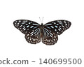Beautiful closeup (Dark Glassy Tiger Butterfly). Beautiful blue butterfly flying isolated on white background. for graphics or advertising design. 140699500
