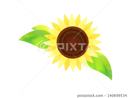 一幅色彩鮮豔的向日葵插圖 140699534