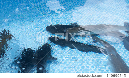 Overhead view of several swimmers moving beneath the rippled blue surface of a swimming pool, with sunlight reflections, tiled background, and distorted body shapes creating an Overhead view of several swimmers moving beneath the rippled blue surface of a swimming pool, with sunlight reflections, tiled background, and distorted body shapes creating an 140699545