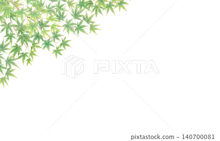 手繪藍色楓葉背景素材 手繪藍色楓葉背景素材 140700081