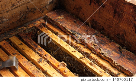 Close view of weathered wooden beehive frames filled with honeycomb, beeswax, and remnants of honey inside a rustic hive box, lit by warm natural light Close view of weathered wooden beehive frames filled with honeycomb, beeswax, and remnants of honey inside a rustic hive box, lit by warm natural light 140700117