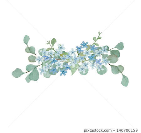 藍星與尤加利的水彩插圖 藍星與尤加利的水彩插圖 140700159