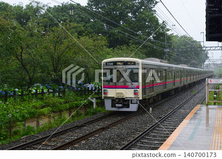 Keio 7000 series 7726F corrugated car and hydrangeas Keio 7000 series 7726F corrugated car and hydrangeas 140700173
