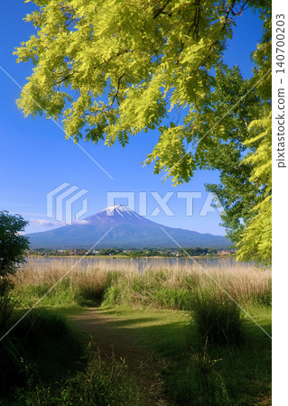 Lake Kawaguchi and Mt. Fuji from Nagasaki Park (Fujikawaguchiko Town, Yamanashi Prefecture) 140700203