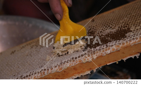Honeycomb Scraping By Beekeeper Hand Revealing Golden Honey And Wax Cells, Close Tactile Extraction With Yellow Scraper, Raw Syrup Dripping, Rustic Rooftop Apiary Atmosphere, Manual Craft And Seasonal Honeycomb Scraping By Beekeeper Hand Revealing Golden Honey And Wax Cells, Close Tactile Extraction With Yellow Scraper, Raw Syrup Dripping, Rustic Rooftop Apiary Atmosphere, Manual Craft And Seasonal 140700222