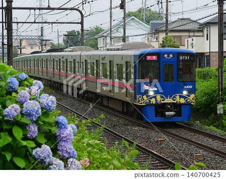 Keio 9000 series 30 series 9731F Sanrioラッピング train and hydrangeas 140700425