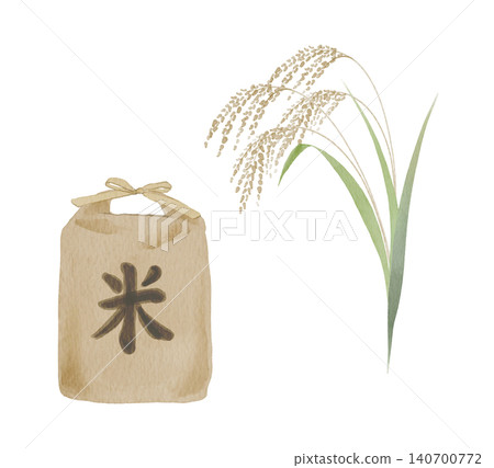 Watercolor painting of rice and rice stalks 140700772
