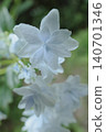 midsummer 140701346