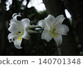 midsummer 140701348