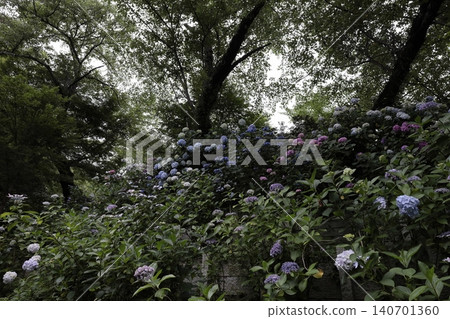 midsummer midsummer 140701360