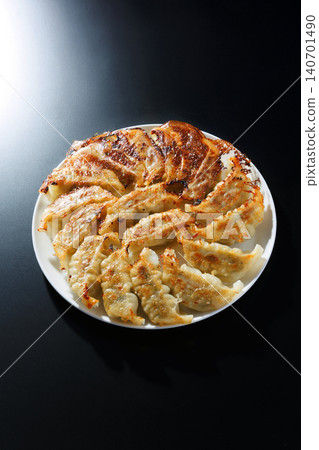 Delicious looking roasted dumplings 140701490