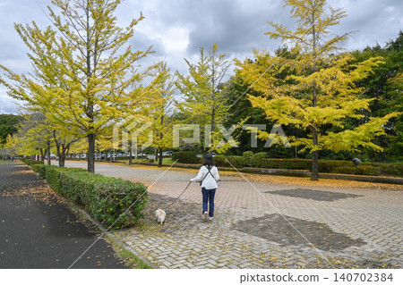 Autumn leaves of Chichibu muse park 140702384