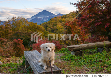 Autumn leaves of Chichibu muse park 140702386